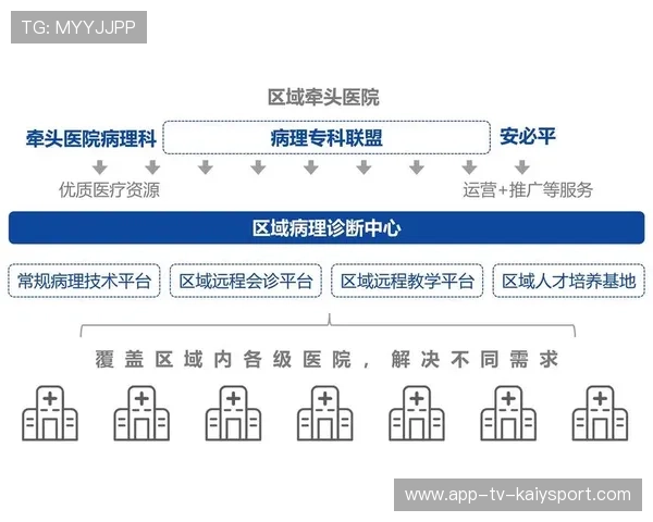中超联合青训联盟成立，区域联动新模式推出